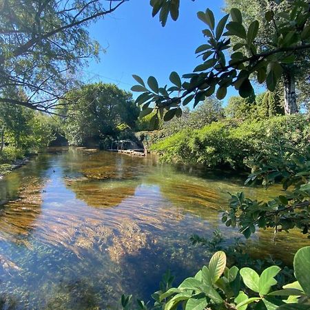 Gite L'Odonate, Partage Des Eaux LʼIsle-sur-la-Sorgue Exterior foto